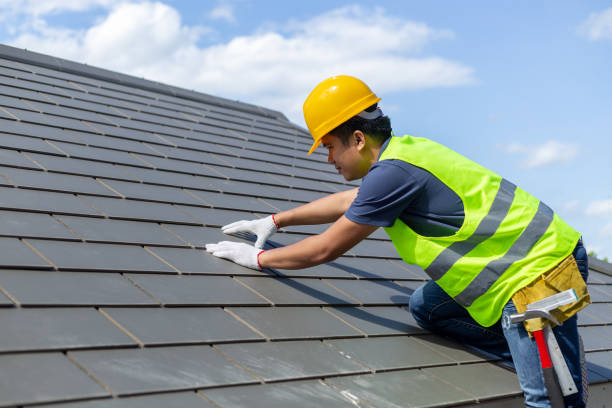 Best Commercial Roof Installation  in West Point, NE
