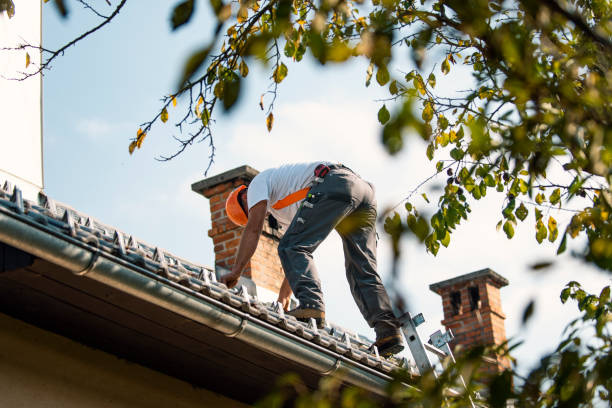Best Metal Roofing Contractor  in West Point, NE
