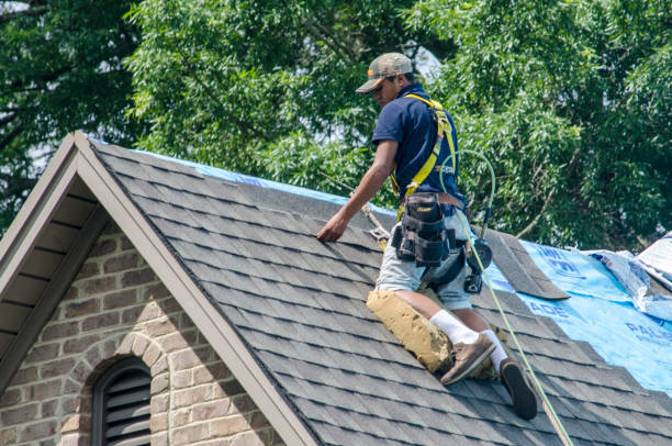 Best Local Roofing Companies  in West Point, NE
